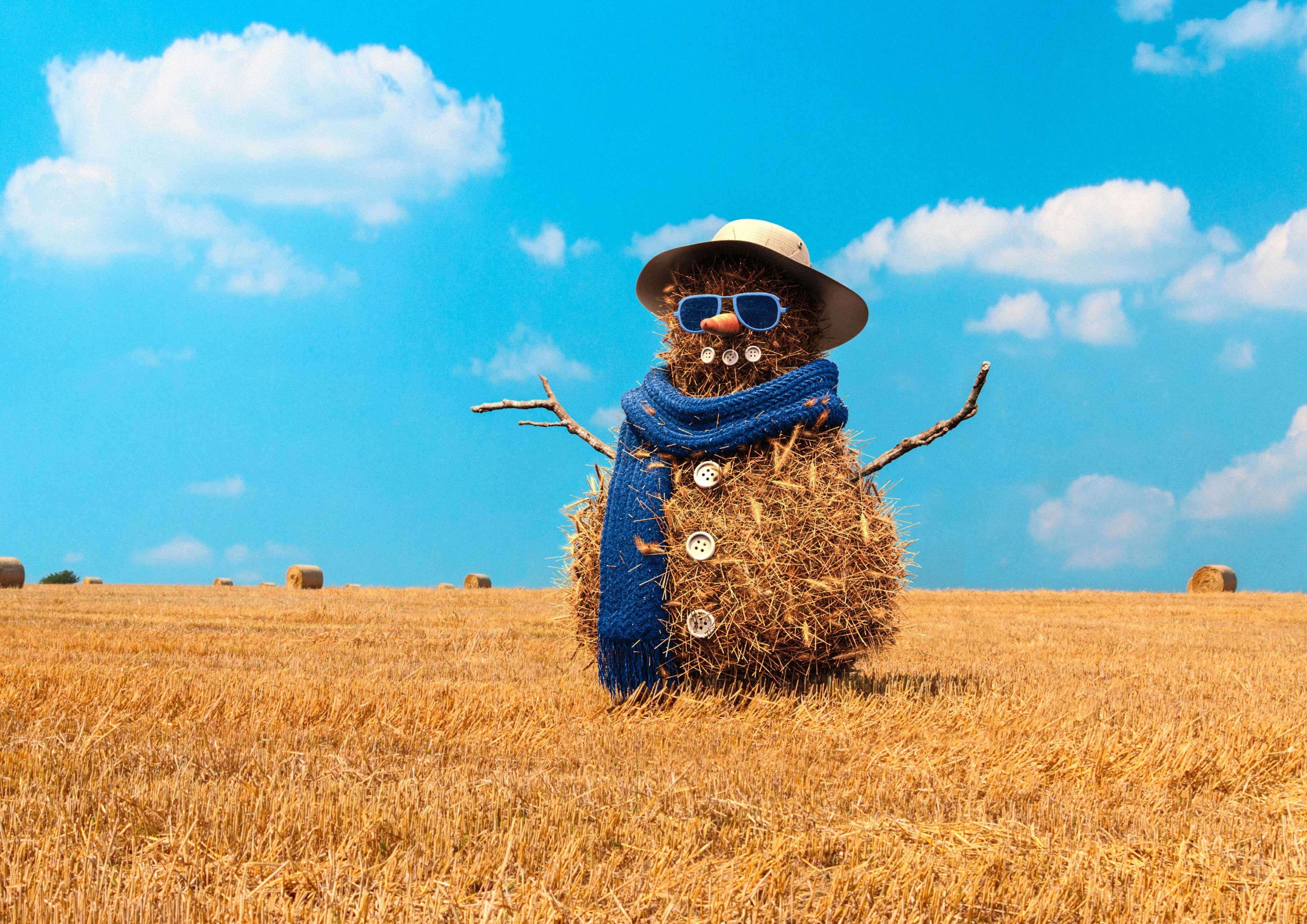 New Holland Strawman