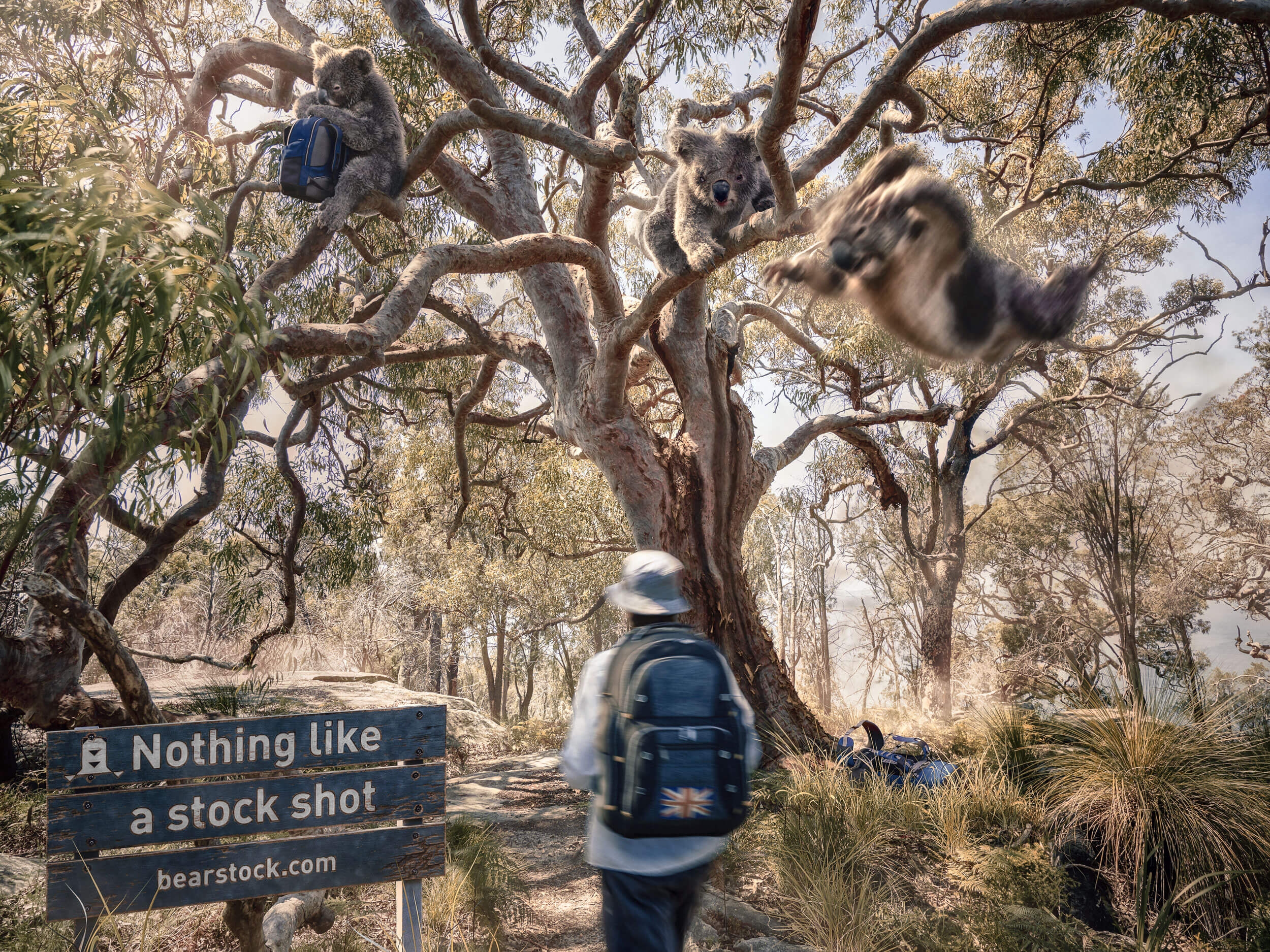 Nothing like a stock shot