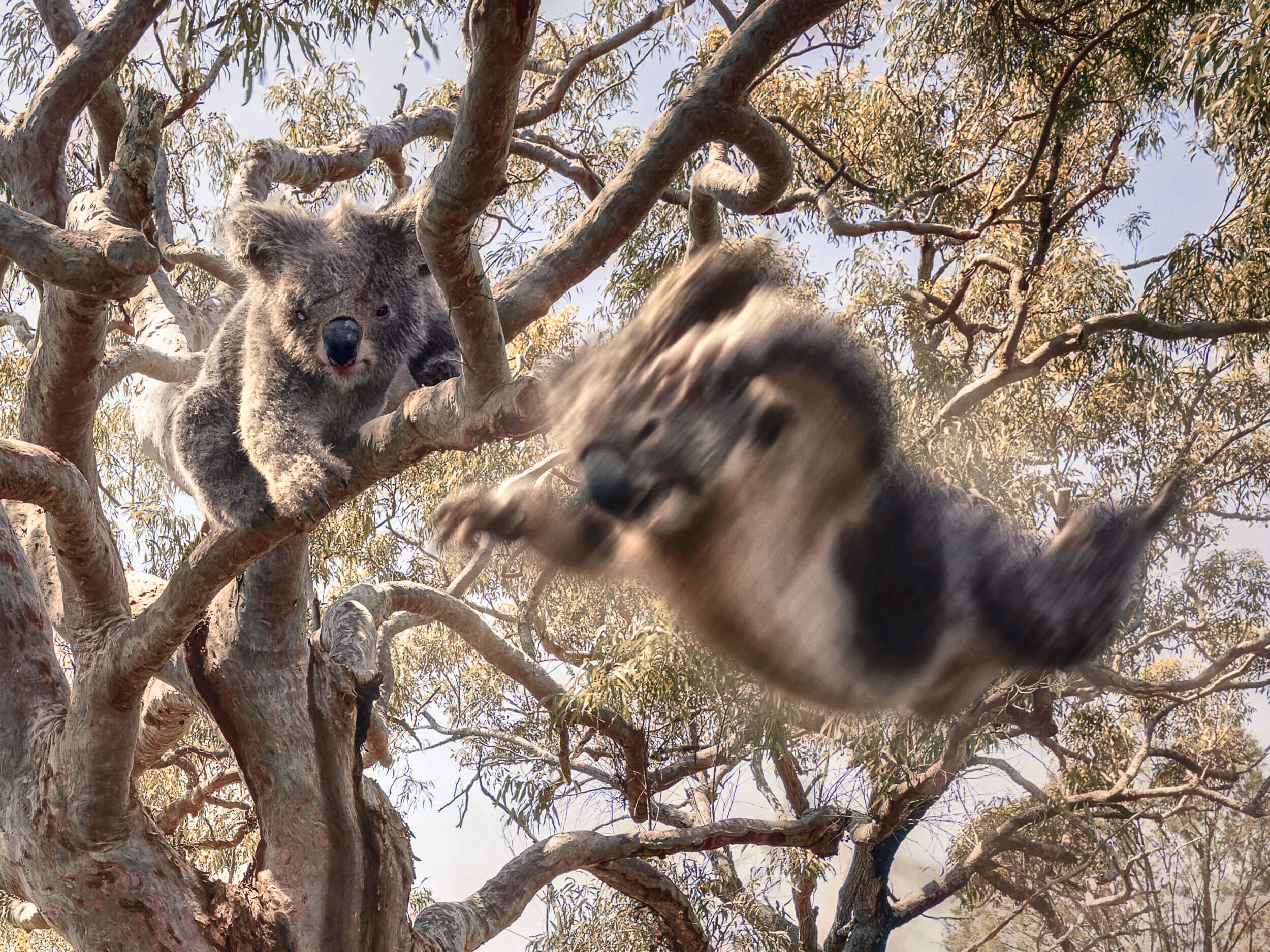 Nothing like a stock shot